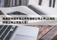 杨浦区块链开发公司有哪些公司上市[上海区块链上市公司有几家]